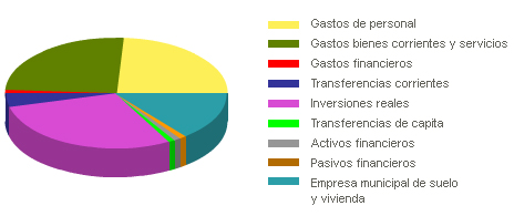 Gráfico que representa el presupuesto general de 2007