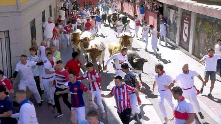 Imagen Séptimo encierro templado y fragmentado con toros de Juan Pedro Domecq