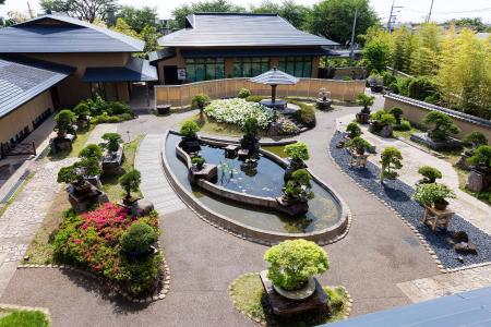 2026_12_15_EL BUDISMO ZEN A TRAVÉS DE LAS ARTES. Museo del Bonsai de Omiya