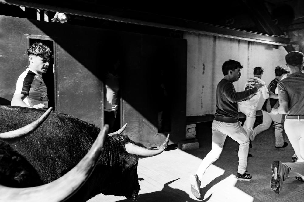 Imagen `Pegado a los talones´, de Mario del Monte, vecino de nuestra ciudad, primer premio del XXVI Concurso de Fotografía del Encierro