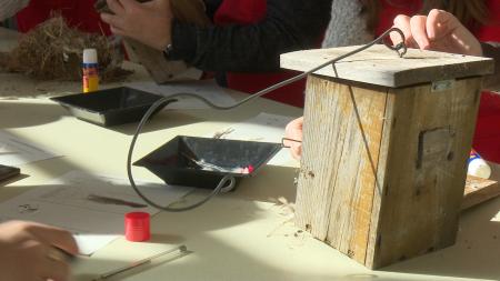 Imagen Una jornada para explorar las cajas nido y conocer las aves de San...