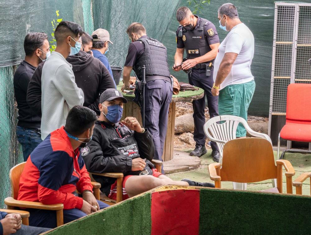 Actuación de la Policía contra la organización de peleas de gallos.