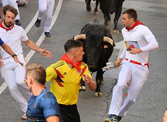 Imagen Emocionante encierro con toros de La Cardenilla