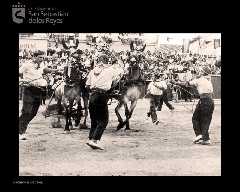 Imagen Festejos taurinos