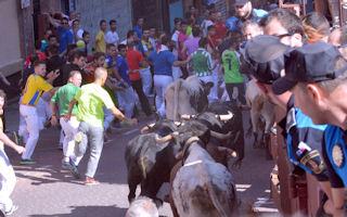 Imagen Los toros enfilan la calle Estafeta