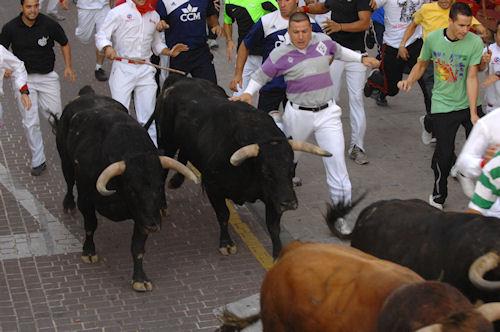 Imagen Emparejamiento de toros.