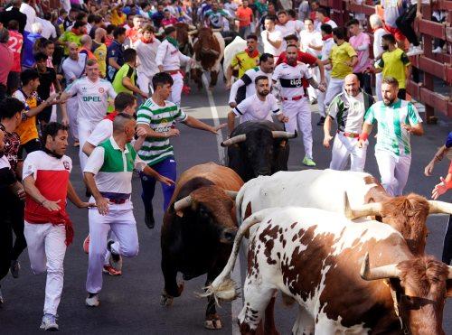 Imagen Sexto encierro de las fiestas 2023 con toros de Zalduendo