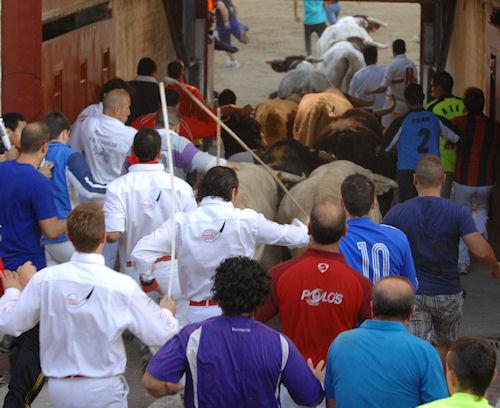 Imagen La carrera, antes de entrar en la plaza de toros.