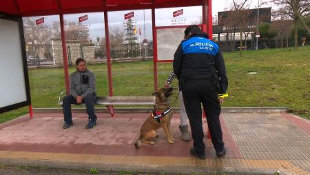Imagen La Policía Local realiza una exhibición de su futura unidad canina