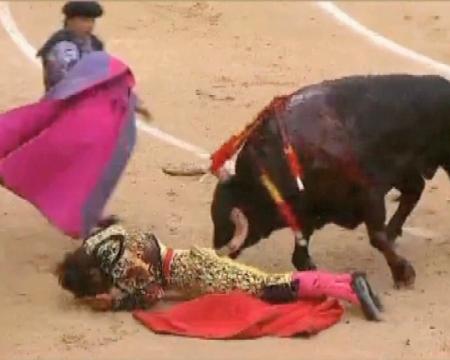 Imagen El torero de Sanse José Ramón Gacía Chechu sufrió ayer una fuerte...