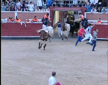 Imagen Segundo encierro de San Sebastián de los Reyes con toros de Arcadio...