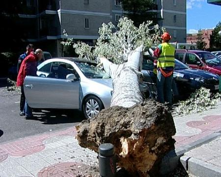 Imagen Consecuencias de la alerta por viento en San Sebastián de los Reyes