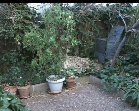 Imagen Recicla en casa gracias al compostaje