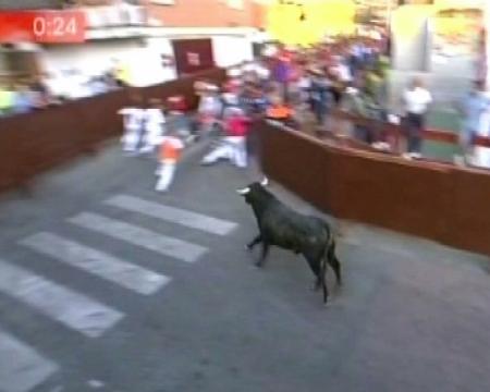 Imagen Lo mejor de los encierros 2011 en San Sebastián de los Reyes