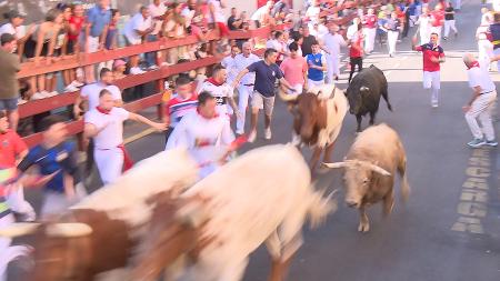 Imagen Un toro regresa a corrales en un palpitante tercer encierro de San Sebastián de los Reyes 2024