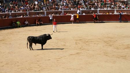 Imagen EsDeToros presenta su “Manifiesto de la Tauromaquia”