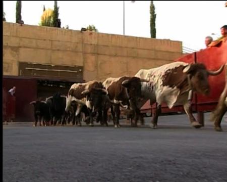 Imagen Normas del encierro y recomendaciones
