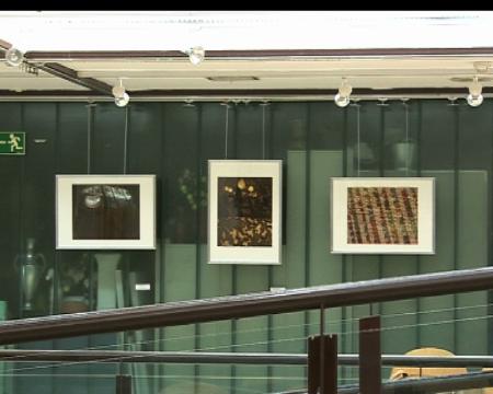 Imagen Fotografías de Gabriella Bulfaro en el Claudio Rodríguez