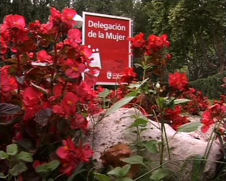 Imagen Comienzan los cursos y talleres en Igualdad