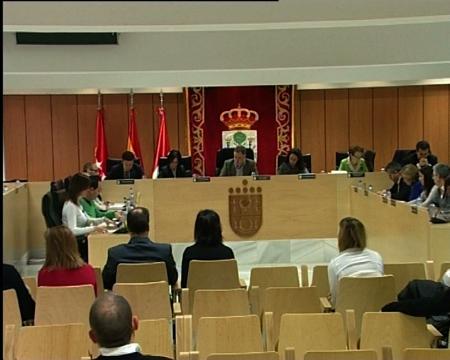 Imagen Pleno de enero