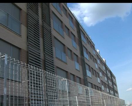 Imagen Algunos nuevos vecinos ya han visitado su casa en Tempranales