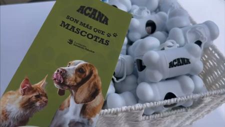 Imagen ‘Son más que mascotas’ o la importancia de la adopción y cuidado de los...