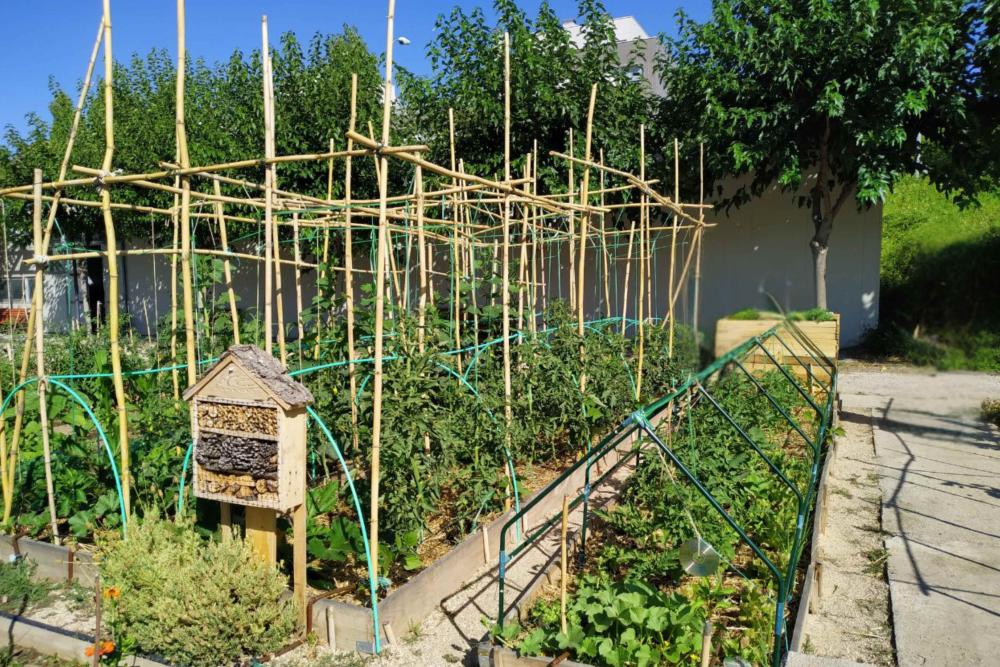 Imagen Finalizado el plazo de solicitudes para los Huertos Urbanos con 751 peticiones recibidas