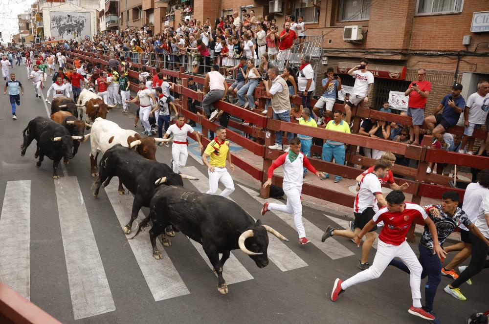 Imagen EFE_25_8_1.jpg