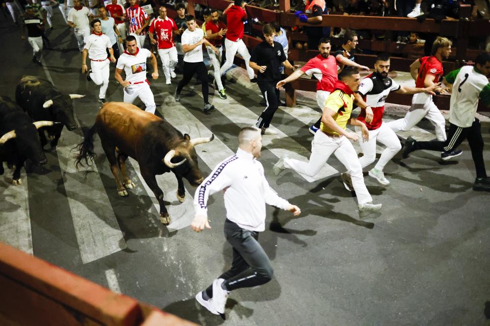 Imagen Encierro nocturno 25-08 3.jpg