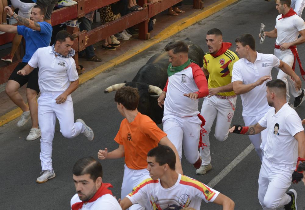 Imagen PM_26_8_1.JPG