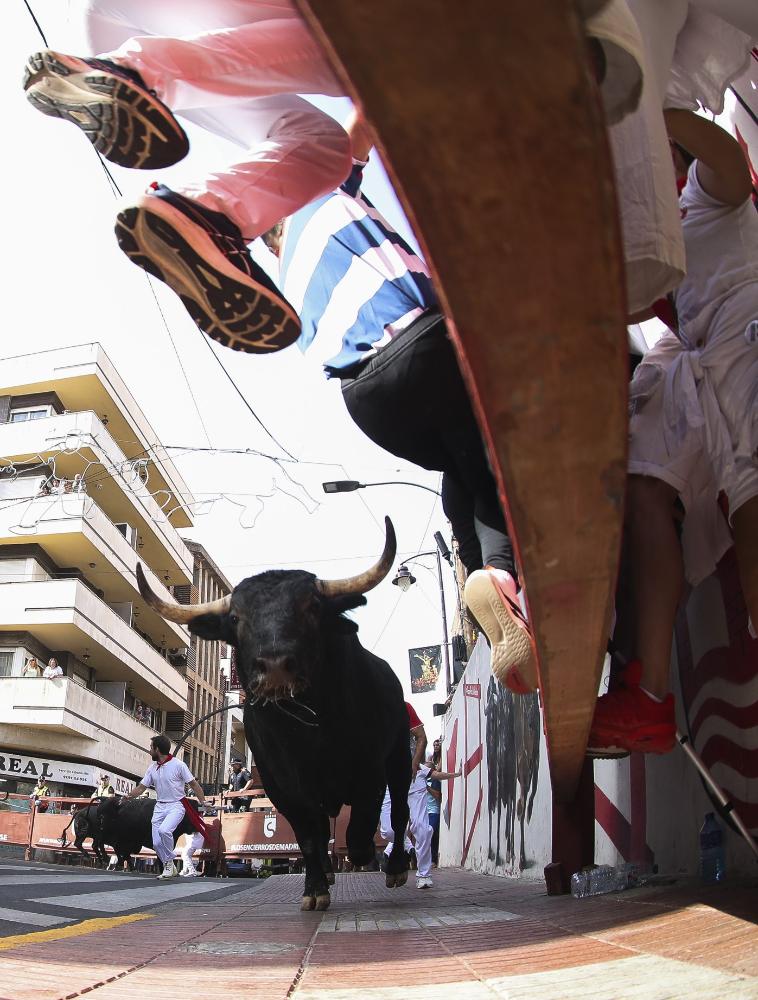 Imagen Encierro 26-08 3.jpg