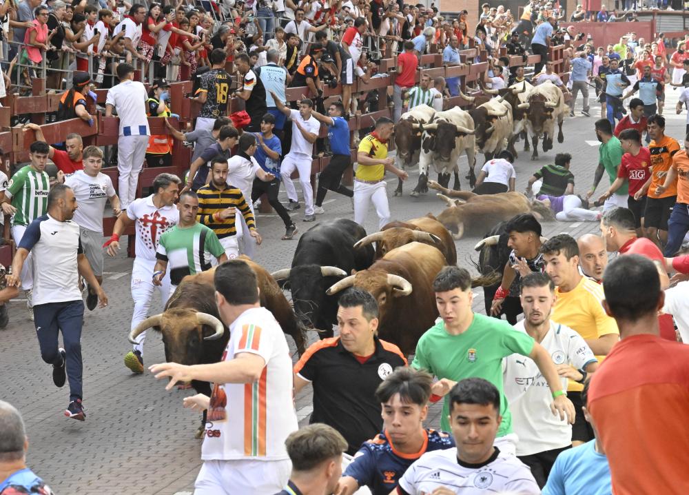 Imagen TC_27_8_1.JPG