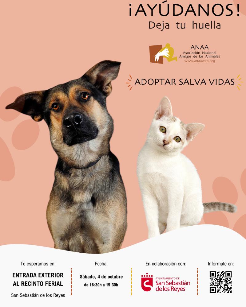 Imagen Nuestra ciudad y la Asociación Nacional Amigos de los Animales celebran la segunda edición de ‘¡Ayúdanos! Deja tu huella’