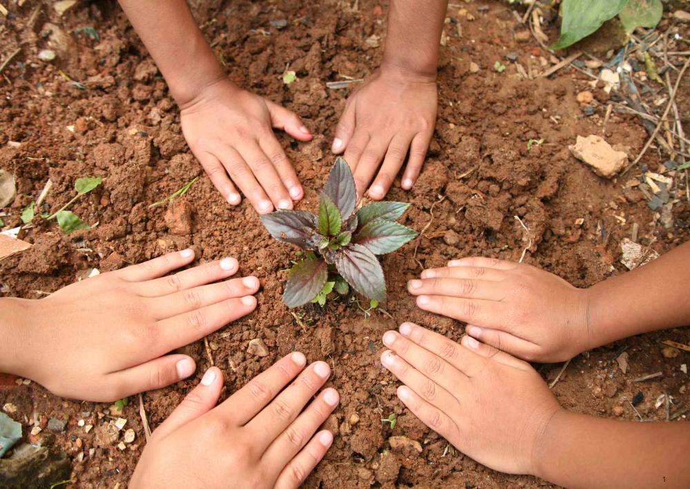 Imagen Microsoft y el Ayuntamiento colaboran en nuevos programas para el desarrollo socioemocional y medioambiental del alumnado escolar