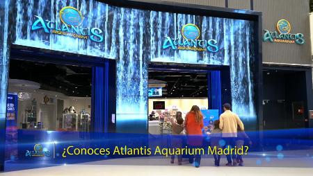 Imagen Última oportunidad para disfrutar del descuento que ofrece Parques Reunidos