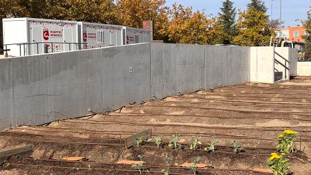 Imagen Empieza la primera siembra en los nuevos huertos urbanos de San...
