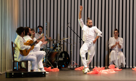 Danza flamenca. Debajo de los pies. Eduardo Guerrero