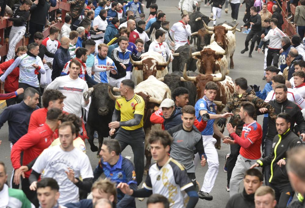 Imagen ENCIERRO_18_ENERO_PM_1.jpg