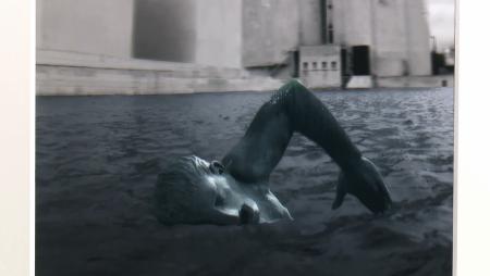 Imagen La exposición de fotografía de ‘El lobo y el madroño’ brilla en la Sala...