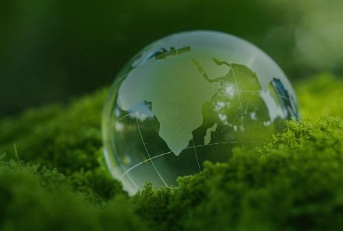 Imagen Salud Ambiental