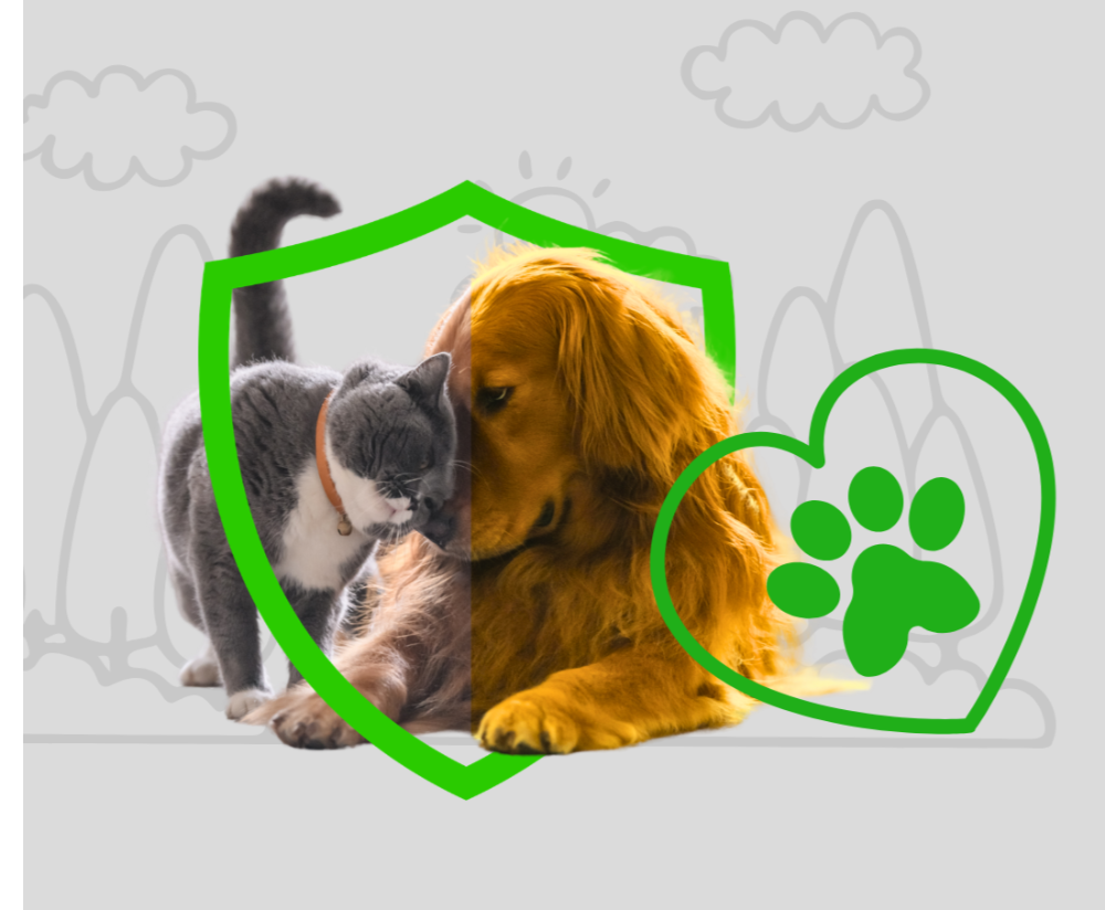 Imagen Protección Animal