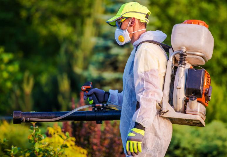 Imagen Vigilancia y control de vectores y plagas urbanas