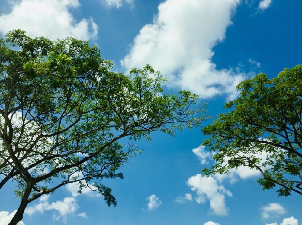 Imagen Calidad del aire