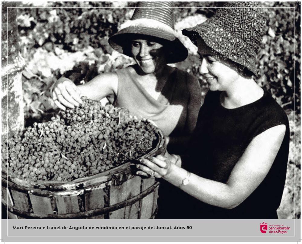 Imagen Mari Pereira e Isabel de Anguita de vendimia en el paraje del Juncal. Años 60.jpg