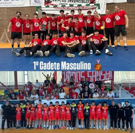 Imagen Los cadetes del Club Balonmano Sanse, bronce en el 2º sector nacional