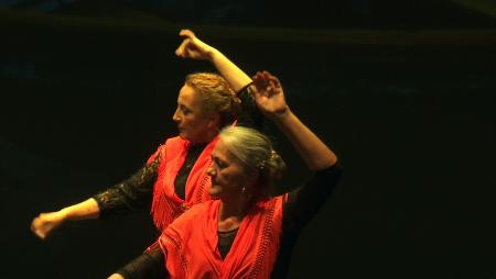 Imagen Pasión y creatividad sobre las tablas del TAM en la gala de “Danza por...