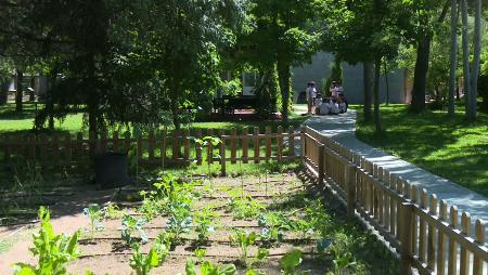 Imagen ¿Quién se anima al campus del Centro de Naturaleza Dehesa Boyal de San...
